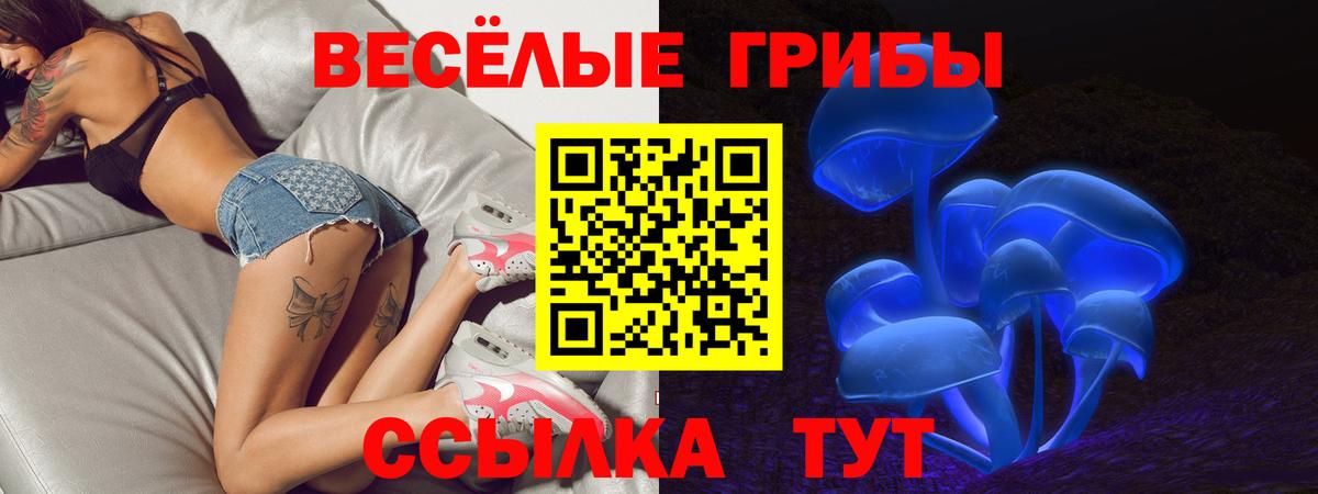 цены   Вход с VPN  Кстово  Псилоцибиновые грибы Cubensis 
